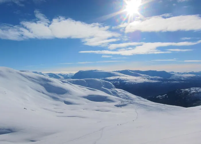 Nesje Gardstun * Oppstryn